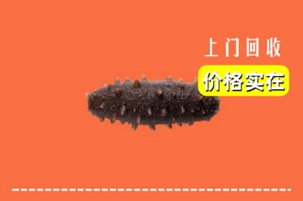 海曙区回收海参