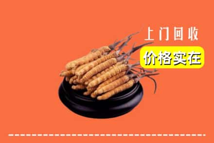 海曙区回收冬虫夏草